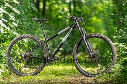 Ragley Bigwig scheda tecnica e recensioni
